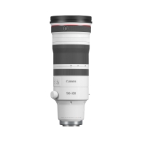 Hire Canon RF 100-300mm f2.8L IS USM