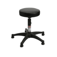 Posing Stool