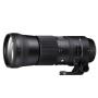 Hire Sigma 150-600mm f5-6.3 Contemporary DG OS HSM Lens (Canon Fit)