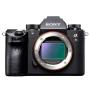 Hire Sony Alpha A9 Digital Camera Body Only